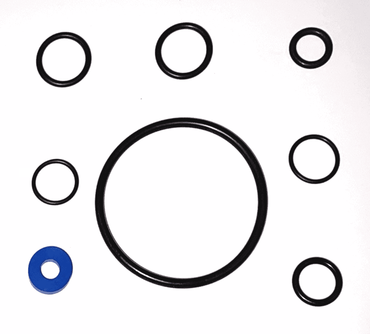 O-Ring Gasket Repair Kit, EPDM (parts 5+8+25+27+31)-Goat Pumps