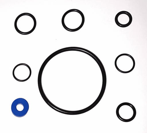 O-Ring Gasket Repair Kit, EPDM (parts 5+8+25+27+31)-Goat Pumps