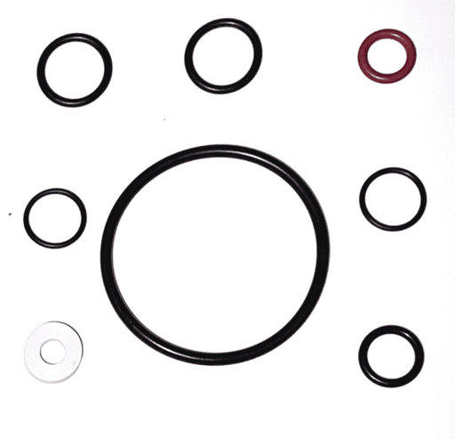 O-Ring Gasket Repair Kit, Nitrile (parts 5+8+25+27+31)-Goat Pumps