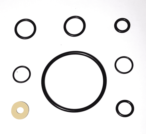 O-Ring Gasket Repair Kit, Santo (parts 5+8+25+27+31)-Goat Pumps