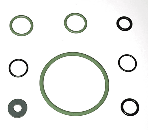 O-Ring Gasket Repair Kit, Viton (parts 5+8+25+27+31)-Goat Pumps