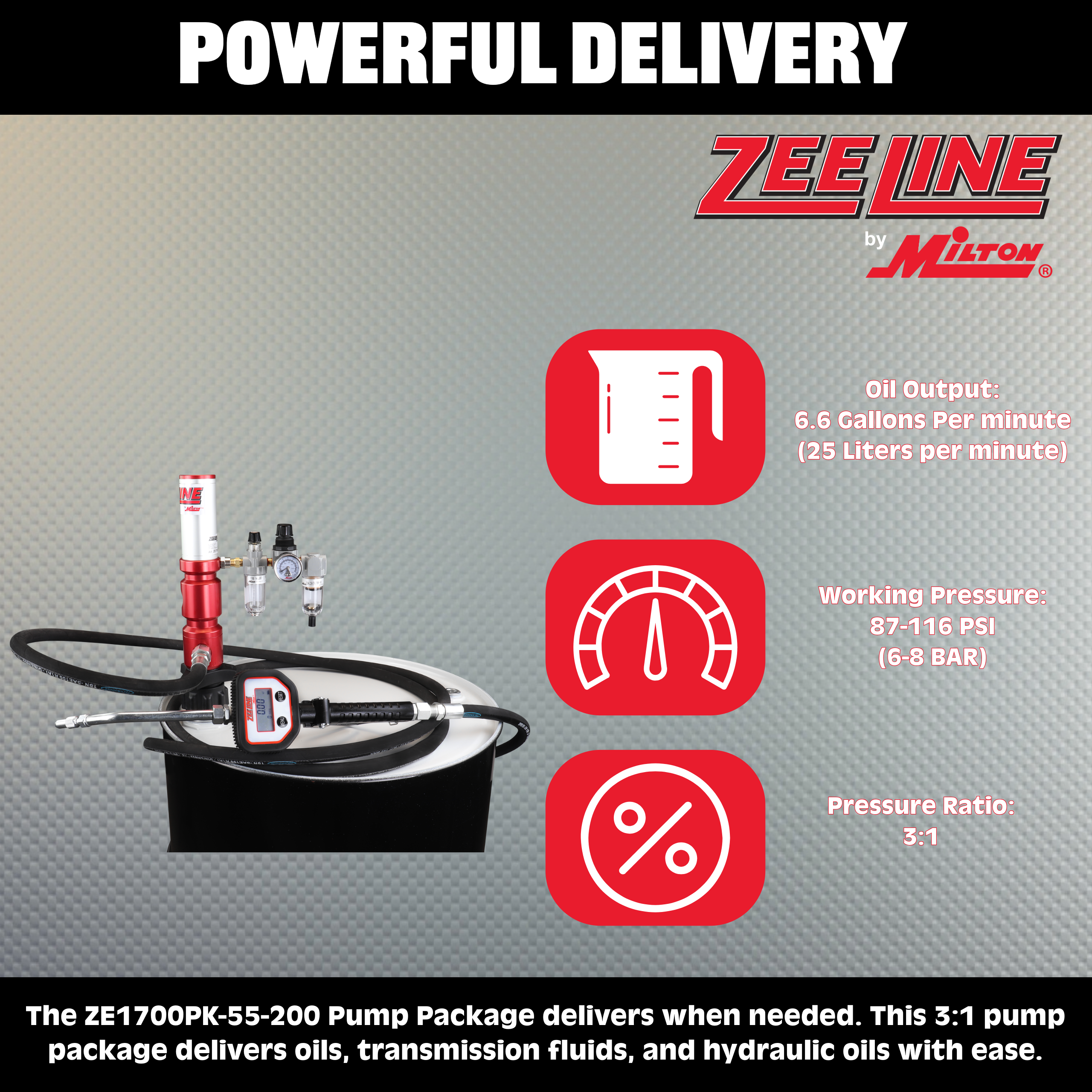 ZE1700PK-55-200 – 3:1 Premium Series Pump Kit 55-Gal w/hose & meter-Zeeline by Milton®