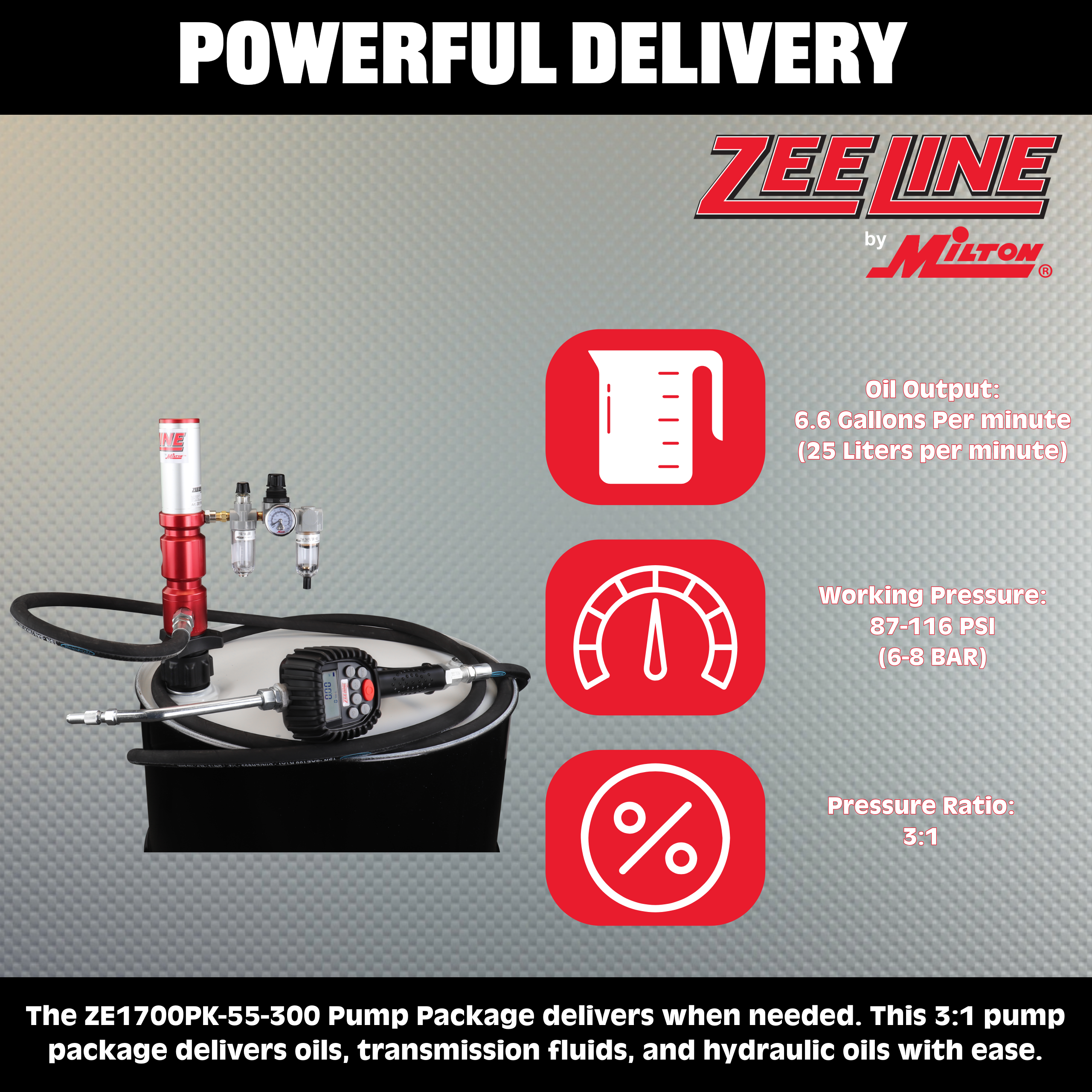 ZE1700PK-55-300 – 3:1 Premium Series Pump Kit 55-Gal w/hose & preset meter-Zeeline by Milton®